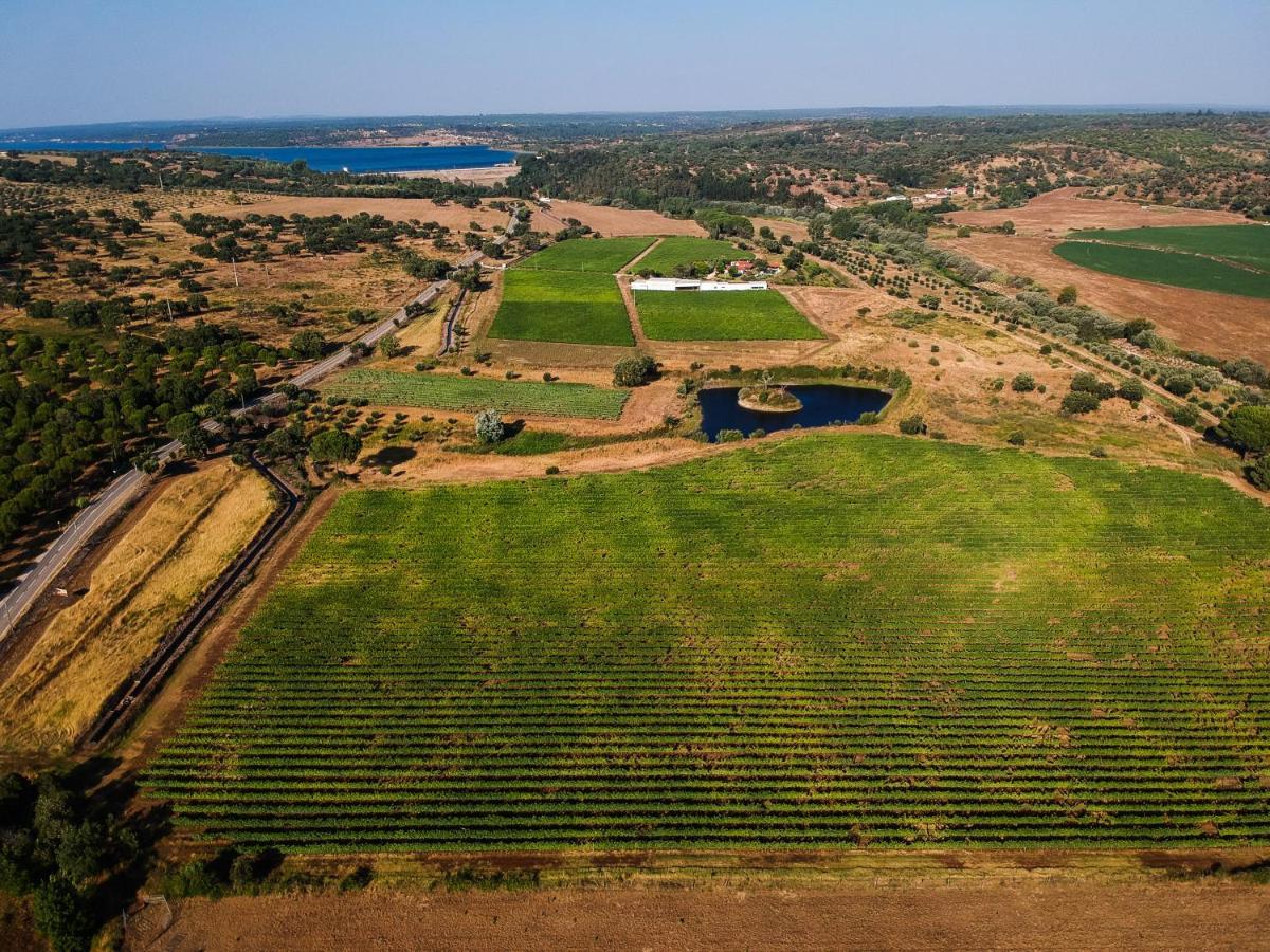 Monte Da Raposinha Enoturismo, Montargil Βίλα Εξωτερικό φωτογραφία