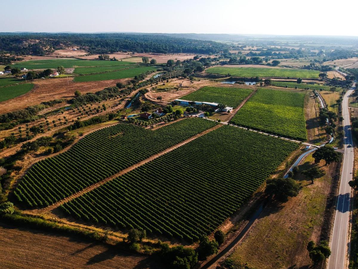 Monte Da Raposinha Enoturismo, Montargil Βίλα Εξωτερικό φωτογραφία